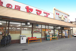 ޥŹ